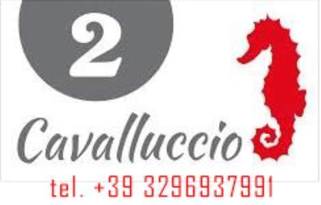 Mar&Sol Hotel Termoli Buitenkant foto